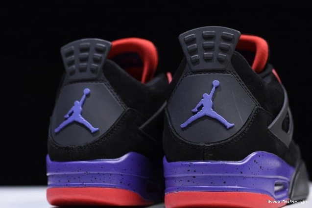 Raptors